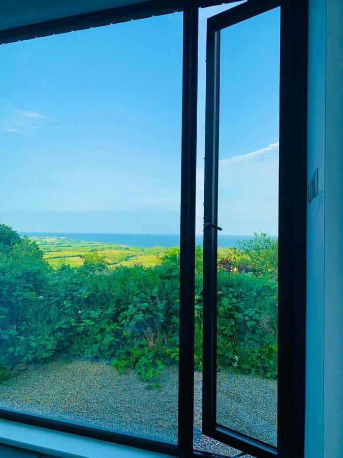 Villa Tara Hill Estate à Gorey Extérieur photo