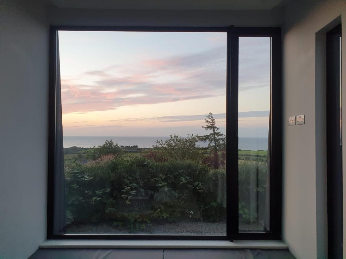 Villa Tara Hill Estate à Gorey Extérieur photo